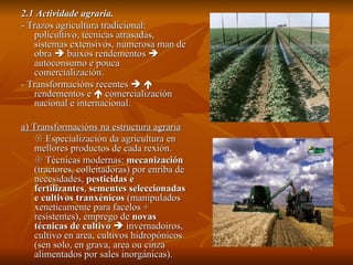 2.1 Actividade agraria. - Trazos agricultura tradicional: policultivo, técnicas atrasadas, sistemas extensivos, numerosa man de obra    baixos rendementos    autoconsumo e pouca comercialización. - Transformacións recentes       rendementos e    comercialización nacional e internacional. a) Transformacións na estructura agraria    Especialización da agricultura en mellores productos de cada rexión.    Técnicas modernas:  mecanización  (tractores, colleitadoras) por enriba de necesidades,  pesticidas e fertilizantes ,  sementes seleccionadas e cultivos tranxénicos  (manipulados xeneticamente para facelos + resistentes), emprego de  novas técnicas de cultivo     invernadoiros, cultivo en area, cultivos hidropónicos (sen solo, en grava, area ou cinza alimentados por sales inorgánicas). 