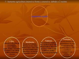    Aumento agricultura intensiva fronte a estensiva: debido a 2 razóns: Ampliación regadío 2 tipos:  Intensivo: aire libre ou  invernadoiro.  2 ou 3 colleitas  anuais. Froitas e hortalizas Extensivo: 1 sóa colleita.  Cultivos industriais  e forraxe Distribución:  Escaso no N húmido.  Destaca en área clima Mediterráneo. Sobre todo no litoral mediterráneo (intensivo) e no interior Peninsular (extensivo) Problemas: Uso de sistemas moi consumidores de auga Sobreexplotación recursos hídricos (ríos e acuíferos). Contaminación  ambiental  (fertilizantes) Vantaxes: Ec (aumento rendas),  Soc (mellora nivel vida) Demográficas (fixa pob no rural e evita éxodo) Culturais (mellor  preparación profesional) 