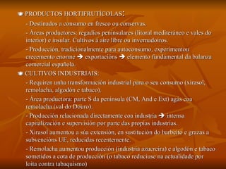   PRODUCTOS HORTIFRUTÍCOLAS : - Destinados a consumo en fresco ou conservas. - Áreas productores: regadíos peninsulares (litoral mediteráneo e vales do interior) e insular. Cultivos á aire libre ou invernadoiros. - Producción, tradicionalmente para autoconsumo, experimentou crecemento enorme    exportacións    elemento fundamental da balanza comercial española.    CULTIVOS INDUSTRIAIS: - Requiren unha transformación industrial para o seu consumo (xirasol, remolacha, algodón e tabaco). - Área productora: parte S da península (CM, And e Ext) agás coa remolacha (val do Douro). - Producción relacionada directamente coa industria    intensa capitalización e supervisión por parte das propias industrias. - Xirasol aumentou a súa extensión, en sustitución do barbeito e grazas a subvencións UE, reducidas recentemente. - Remolacha aumentou producción (industria azucreira) e algodón e tabaco sometidos a cota de producción (o tabaco reduciuse na actualidade por loita contra tabaquismo) 