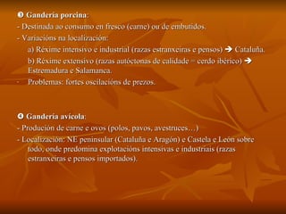    Gandería porcina :  - Destinada ao consumo en fresco (carne) ou de embutidos. - Variacións na localización:  a) Réxime intensivo e industrial (razas estranxeiras e pensos)    Cataluña. b) Réxime extensivo (razas autóctonas de calidade = cerdo ibérico)    Estremadura e Salamanca. Problemas: fortes oscilacións de prezos.    Gandería avícola :  - Produción de carne e ovos (polos, pavos, avestruces…) - Localización: NE peninsular (Cataluña e Aragón) e Castela e León sobre todo, onde predomina explotacións intensivas e industriais (razas estranxeiras e pensos importados). 