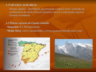 3. PAISAXES AGRARIAS. Paisaxe agraria = morfoloxía que presenta o espazo rural, resultado da combinación de medio natural (factores físicos) e actividades agrarias (factores humanos). 3.1 Paisaxe agraria da España húmida. -  Situación:   N e NO peninsular. -  Medio físico : relevo accidentado e clima oceánico húmido todo o   ano. 