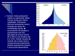    Campá: indica poboación adulta ou estancada. Base menos ancha por menor natalidade. Poboación diminúe lentamente cara a cúspide por taxas de mortalidade baixas    acumulación de adultos e porcentaxes non moi elevados de mozos (entre 25 e 35%) e de anciáns (de 5 a 12%). Indicar causas de recorte nat e baixa mort e consecuencias predominio adultos (predominio activos e pouca pob dependente 