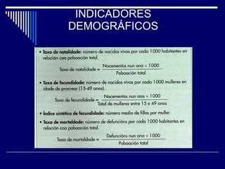 INDICADORES DEMOGRÁFICOS 