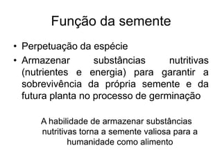 Unidade 03 composição química e maturação das sementes | PDF