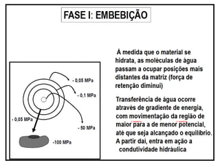 (- negativo) (+ negativo)
 