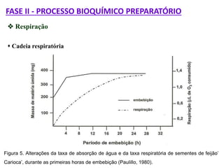 FASE II - PROCESSO BIOQUÍMICO PREPARATÓRIO
 Respiração
 Cadeia respiratória
Figura 5. Alterações da taxa de absorção de água e da taxa respiratória de sementes de feijão’
Carioca’, durante as primeiras horas de embebição (Paulillo, 1980).
 