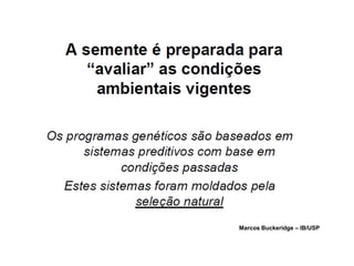 Marcos Buckeridge – IB/USP
 