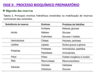 FASE II - PROCESSO BIOQUÍMICO PREPARATÓRIO
 Digestão das reservas
Tabela 2. Principais enzimas hidrolíticas envolvidas na mobilização de reservas
nutricionais das sementes.
 