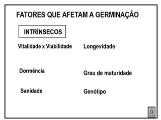 Genótipo
Grau de maturidade
Longevidade
 