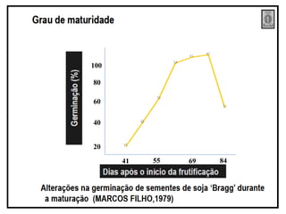 20
40
60
80
100
41 55 69 84
 