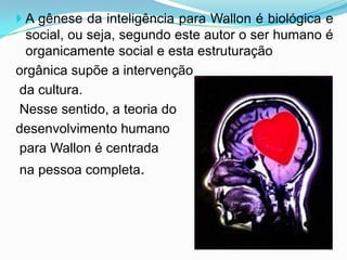  A gênese da inteligência para Wallon é biológica e
  social, ou seja, segundo este autor o ser humano é
  organicamente social e esta estruturação
orgânica supõe a intervenção
da cultura.
Nesse sentido, a teoria do
desenvolvimento humano
para Wallon é centrada
na pessoa completa.
 