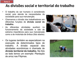 As divisões social e territorial do trabalho
• O trabalho do ser humano é considerado
social, pois atende às necessidades da
sociedade para sua manutenção.
• Chamamos a divisão dos trabalhadores em
diferentes funções de divisão social do
trabalho.
• As diferentes atividades auxiliam no
funcionamento da sociedade e são de
extrema importância para sua manutenção
como a de motorista de ônibus (foto abaixo)
• Os lugares também se especializam na
execução de determinados tipos de
trabalho. A divisão espacial das
atividades econômicas é chamada de
divisão territorial do trabalho. Na foto
ao lado temos um exemplo: Plantação
de arroz nas Filipinas.
Tema 2
 