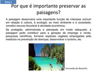 Por que é importante preservar as
paisagens?
A paisagem desenvolve uma importante função de interesse comum
em relação à cultura, à ecologia, ao meio ambiente e à sociedade;
constitui recurso favorável à atividade econômica.
Se protegida, administrada e planejada em modo adequado, a
paisagem pode contribuir para a geração de emprego e renda,
pesquisas científicas, fornecer espécies vegetais empregadas pela
medicina na prevenção de doenças; desenvolver o turismo, etc
Fernando de Noronha
Tema 1
 
