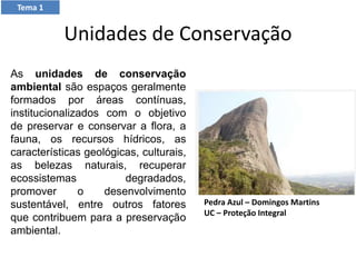 Unidades de Conservação
As unidades de conservação
ambiental são espaços geralmente
formados por áreas contínuas,
institucionalizados com o objetivo
de preservar e conservar a flora, a
fauna, os recursos hídricos, as
características geológicas, culturais,
as belezas naturais, recuperar
ecossistemas degradados,
promover o desenvolvimento
sustentável, entre outros fatores
que contribuem para a preservação
ambiental.
Tema 1
Pedra Azul – Domingos Martins
UC – Proteção Integral
 