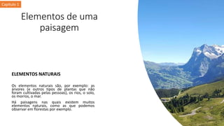 Elementos de uma
paisagem
ELEMENTOS NATURAIS
Os elementos naturais são, por exemplo: as
árvores (e outros tipos de plantas que não
foram cultivadas pelas pessoas), os rios, o solo,
os morros, o mar.
Há paisagens nas quais existem muitos
elementos naturais, como as que podemos
observar em florestas por exemplo.
Capítulo 1
 