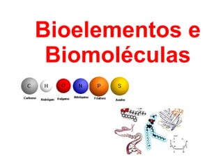 Bioelementos e
Biomoléculas
 