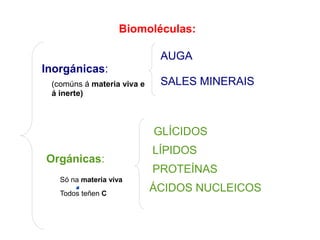 Biomoléculas:
AUGA
Inorgánicas:
SALES MINERAIS
GLÍCIDOS
LÍPIDOS
PROTEÍNAS
ÁCIDOS NUCLEICOS
Orgánicas:
(comúns á materia viva e
á inerte)
Só na materia viva
Todos teñen C
 