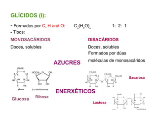 GLÍCIDOS (I):
- Formados por C, H and O: Cn
(H2
O)n
1: 2: 1
- Tipos:
MONOSACÁRIDOS DISACÁRIDOS
Doces, solubles Doces, solubles
Glucosa
Sacarosa
Lactosa
Ribosa
AZUCRES
ENERXÉTICOS
Formados por dúas
moléculas de monosacáridos
 