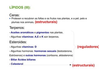 LÍPIDOS (III):
Ceras:
Protexen e recubren as follas e os frutos nas plantas, e a pel, pelo e
plumas nos animais. (estructurais)
Terpenos:
- Aceites aromáticos e pigmentos nas plantas.
- Algunhas vitaminas: A,E e K son terpenos.
Esteroides:
- Algunhas vitaminas: D
- Algunhas hormonas: hormonas sexuais (testosterona,
Estróxenos) e outras hormonas (cortisona, aldosterona)
- Biliar Ácidos biliares
- Colesterol
(reguladores)
(estructurais)
 
