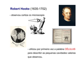Robert Hooke (1635-1702)
- observou cortiza co microscopio
- utilizou por primeira vez a palabra CÉLULAS
para describir as pequenas cavidades valeiras
que observou.
 