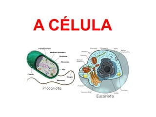 A CÉLULA
 