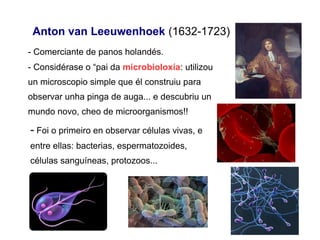 Anton van Leeuwenhoek (1632-1723)
- Comerciante de panos holandés.
- Considérase o “pai da microbioloxía: utilizou
un microscopio simple que él construiu para
observar unha pinga de auga... e descubriu un
mundo novo, cheo de microorganismos!!
- Foi o primeiro en observar células vivas, e
entre ellas: bacterias, espermatozoides,
células sanguíneas, protozoos...
 