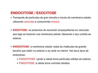 ENDOCITOSE / EXOCITOSE
Transporte de partículas de gran tamaño a través da membrana celular,
utilizando vesículas e consumindo enerxía.
EXOCITOSE: os productos de excreción empaquétanse en vesículas
que logo se fusionan coa membrana celular, liberando o seu contido ao
exterior.
ENDOCITOSE: a membrana celular rodea ás moléculas de grande
tamaño que están no exterior e as verte no interior. Hai dous tipos de
endocitose:
FAGOCITOSE: cando a célula toma partículas sólidas do exterior.
PINOCITOSE: a célula toma nutrintes disoltos.
 