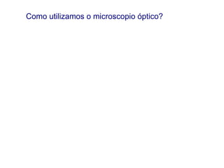 Como utilizamos o microscopio óptico?
 