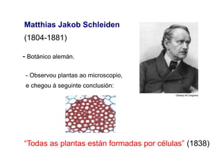 Matthias Jakob Schleiden
(1804-1881)
- Botánico alemán.
- Observou plantas ao microscopio,
e chegou á seguinte conclusión:
“Todas as plantas están formadas por células” (1838)
 