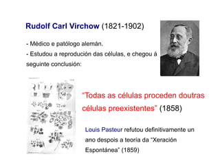 Rudolf Carl Virchow (1821-1902)
- Médico e patólogo alemán.
- Estudou a reprodución das células, e chegou á
seguinte conclusión:
“Todas as células proceden doutras
células preexistentes” (1858)
Louis Pasteur refutou definitivamente un
ano despois a teoría da “Xeración
Espontánea” (1859)
 