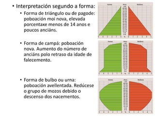 • Interpretación segundo a forma:
• Forma de triángulo ou de pagode:
poboación moi nova, elevada
porcentaxe menos de 14 anos e
poucos anciáns.
• Forma de campá: poboación
nova. Aumento do número de
anciáns polo retraso da idade de
falecemento.
• Forma de bulbo ou urna:
poboación avellentada. Redúcese
o grupo de mozos debido o
descenso dos nacementos.
 
