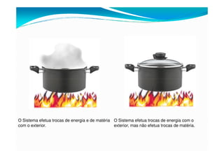 O Sistema efetua trocas de energia e de matéria
com o exterior.
O Sistema efetua trocas de energia com o
exterior, mas não efetua trocas de matéria.
 