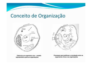 Conceito de Organização
Célula de um organismo vivo – modelo
representativo para as organizações
Processos que justificam a correlação entre os
organismos vivos e as organizações
 