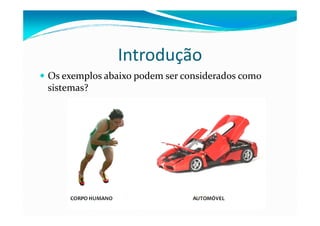 Introdução
Os exemplos abaixo podem ser considerados como
sistemas?
 