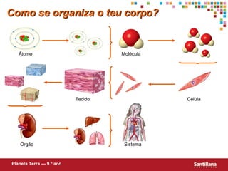 Como se organiza o teu corpo? Átomo Molécula Célula Tecido Órgão Sistema Planeta Terra — 9.º ano 