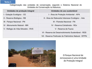 O Parque Nacional de
Jericoacoara é uma Unidade
de Proteção Integral
Tema 1
 