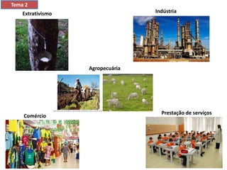 Extrativismo
Agropecuária
Indústria
Comércio
Prestação de serviços
Tema 2
 
