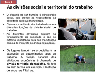 As divisões social e territorial do trabalho
• O trabalho do ser humano é considerado
social, pois atende às necessidades da
sociedade para sua manutenção.
• Chamamos a divisão dos trabalhadores em
diferentes funções de divisão social do
trabalho.
• As diferentes atividades auxiliam no
funcionamento da sociedade e são de
extrema importância para sua manutenção
como a de motorista de ônibus (foto abaixo)
• Os lugares também se especializam na
execução de determinados tipos de
trabalho. A divisão espacial das
atividades econômicas é chamada de
divisão territorial do trabalho. Na foto
ao lado temos um exemplo: Plantação
de arroz nas Filipinas.
Tema 2
 