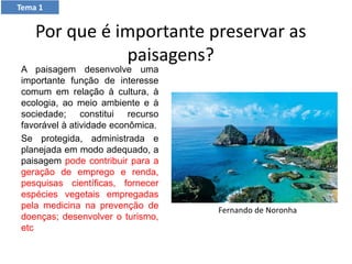 Por que é importante preservar as
paisagens?
A paisagem desenvolve uma
importante função de interesse
comum em relação à cultura, à
ecologia, ao meio ambiente e à
sociedade; constitui recurso
favorável à atividade econômica.
Se protegida, administrada e
planejada em modo adequado, a
paisagem pode contribuir para a
geração de emprego e renda,
pesquisas científicas, fornecer
espécies vegetais empregadas
pela medicina na prevenção de
doenças; desenvolver o turismo,
etc
Fernando de Noronha
Tema 1
 