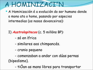 A Hominización é a evolución do ser humano dende o mono ata o home, pasando por especies intermedias (os nosos devanceiros): I)  Austrolopitecos  (c. 5 millóns BP):  - só en África - similares aos chimpancés. - cranio pequeno - comenzaban a andar con dúas pernas (bipedismo). - tiñan as mans libres para transportar obxectos e fabricar ferramentas A HOMINIZACIÓN 