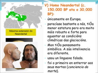 V) Homo Neandertal (c. 150.000 BP ata o 30.000 BP): únicamente en Europa. parecíase bastante a nós, tiña menor estatura pero era moito máis robusto e forte para aguantar as condicións climáticas das glaciacións. Mon tiña pensamento simbólico. A súa intelixencia era diferente. usou un linguaxe falado. foi o primeiro en enterrar aos seus mortos ( conciencia da morte ). Máxima extensión do Neandertal 