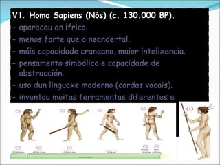 VI.  Homo Sapiens (Nós) (c. 130.000 BP). apareceu en África. menos forte que o neandertal. máis capacidade craneana, maior intelixencia. pensamento simbólico e capacidade de abstracción. uso dun linguaxe moderno (cordas vocais). inventou moitas ferramentas diferentes e complexas. inventou a arte. 