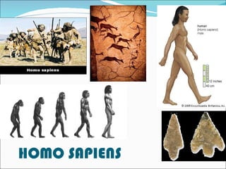 HOMO SAPIENS 