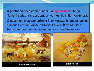 A partir da recolección, naceu a  agricultura:   t rigo (Oriente Medio e Europa), arroz   (Asia),  millo   (América). O nacemento da agricultura fixo necesario que os seres humanos viviran xunto ás terras que cultivaban. Por tanto deixaron de ser nómades e convertéronse en  sedentarios . Así apareceron as primeiras  aldeas. 