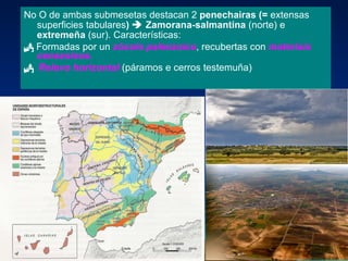 No O de ambas submesetas destacan 2  penechairas (=  extensas superficies tabulares )    Zamorana-salmantina  (norte) e  extremeña  (sur). Características:    Formadas por un  zócolo paleozoico , recubertas con  materiais cenozoicos.  Relevo horizontal  (páramos e cerros testemuña) 