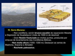 IV. Serra Morena:  - Non cordilleira, senón  brusco escalón  de separación Meseta e Depresión de Guadalquivir (máis de 1000 m de desnivel - Gran  flexión fracturada  en moitos puntos, producida por empuxe de levantamento das Cordilleiras Béticas. -  Non moita altura  (1000- 1300 m): Destacan as serras de Madrona, Aracena e Almadén -  Rochedo paleozoico. 