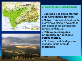 2)  Depresión   Guadalquivir :  -   Limitada por Serra Morena e as Cordilleiras Béticas. -  Orixe:  zona afundida durante a oroxenia alpina e colmatada con sedimentos cenozoicos (areas, arxilas…). -  Relevo de campiñas onduladas con mesas e cerros testigo. - No tramo final da depresión atópase  unha área de  marismas. 