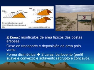 3) Dunas :  montículos de area típicos das costas areosas.  Orixe en transporte e deposición de area polo vento.  Forma disimétrica    2 caras: barlovento (perfil suave e convexo) e sotavento (abrupto e cóncavo). 