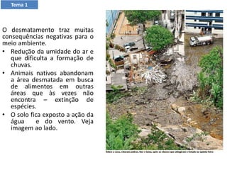 O desmatamento traz muitas
consequências negativas para o
meio ambiente.
• Redução da umidade do ar e
que dificulta a formação de
chuvas.
• Animais nativos abandonam
a área desmatada em busca
de alimentos em outras
áreas que às vezes não
encontra – extinção de
espécies.
• O solo fica exposto a ação da
água e do vento. Veja
imagem ao lado.
Tema 1
 