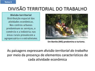 DIVISÃO TERRITORIAL DO TRABALHO
As paisagens expressam divisão territorial do trabalho
por meio da presença de elementos característicos de
cada atividade econômica
Em Bonito (MS) predomina o turismo.
Tema 3
 